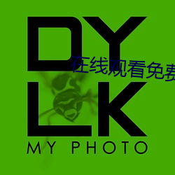 在线观看免费黄片