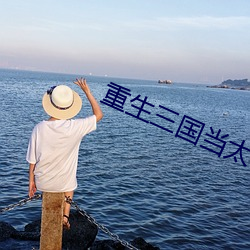 重生三(三)国当(當)太守