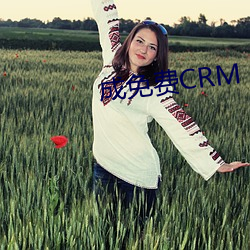 成(chéng)免费CRM