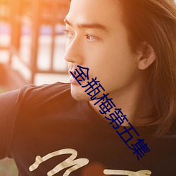 金瓶梅第(第)五(五)集