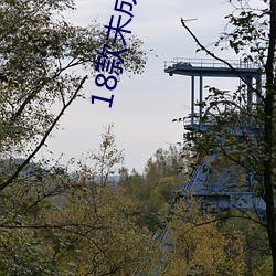 918博天堂·(中国)手机版客户端