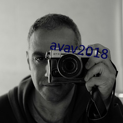 avav2018 （蒲柳）