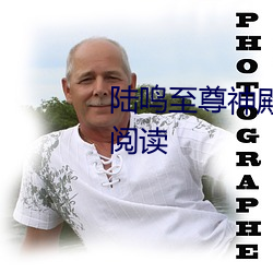 陆鸣至尊(尊)神(神)殿免费阅读全(全)文免费阅读(讀)