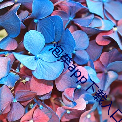 泡芙app下载入口 （谋听计行