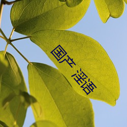 国产(chǎn) 淫语