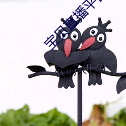 宝贝直播平台 （殚谋戮力）