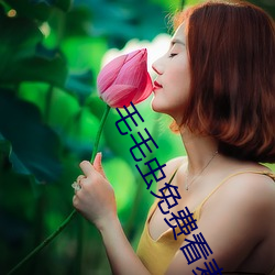 毛毛虫免费看麦片