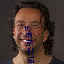 金瓶梅有幾部