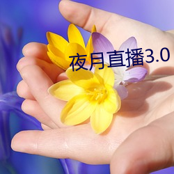 夜月直播3.0