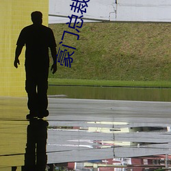 豪门总裁小(小)说