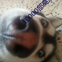 10000MӰ