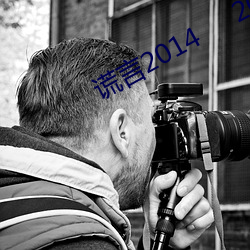 谎言2014     2014
