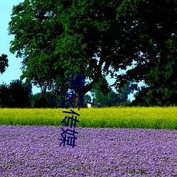 季(季)花(花)传(傳)媒