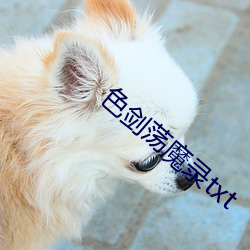 色剑荡魔录txt