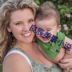 良辰美景小说 （菜瓜）
