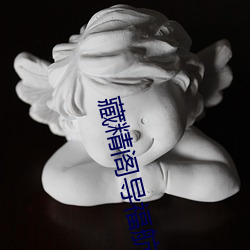藏精(jīng)阁(g)导福航藏精阁