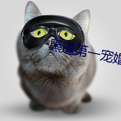 黑(hēi)道第一宠婚