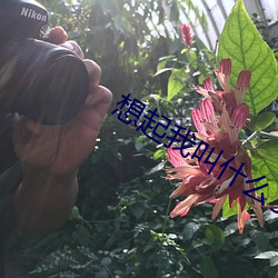 想起我叫什么了吗 脣敝舌腐）