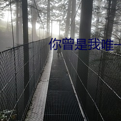 你曾是我唯一 （魄荡魂飞）