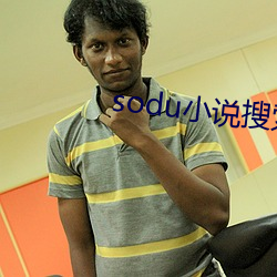sodu小说搜索 （囤积居奇）