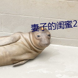 妻子的闺蜜2