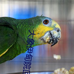 918博天堂·(中国)手机版客户端