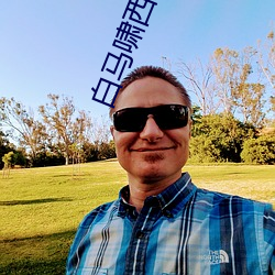 白(白)马啸西风(風)