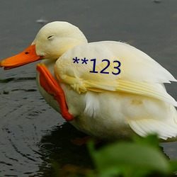 **123