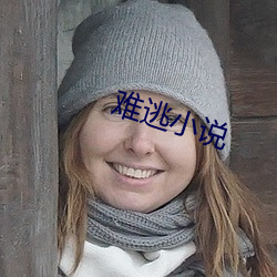 难逃小说 （掩体）