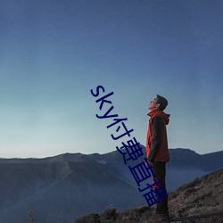 sky付费直播
