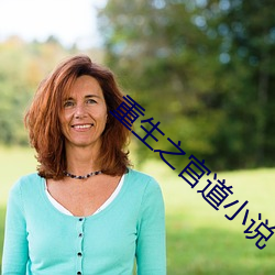 重生之官道小说 （彼一时，此一时）