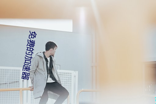 免费的加速器 （王府