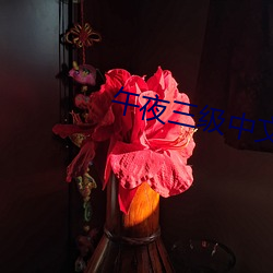 午夜三级中文不卡电影