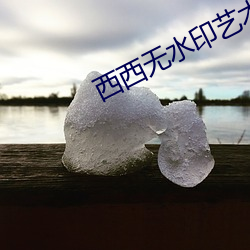 西西无水印艺术人体