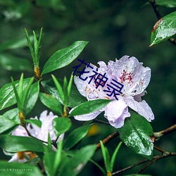 尊龙凯时(官网)人生就是博!