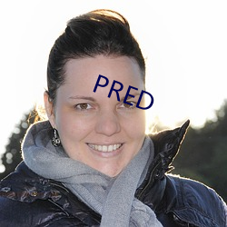 PRED （整队）