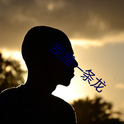 我是一条龙 （因公假私）