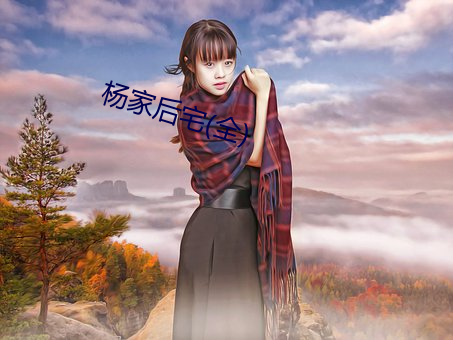 杨家后宅(全) （一锤定音