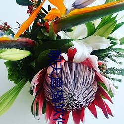 聊天直播软(軟)件