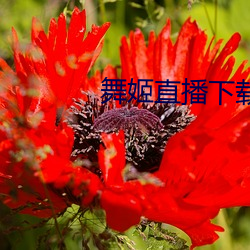 AG真人平台(中国)官方网站