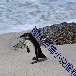 现代言情小说推荐