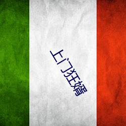 上门狂婿