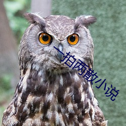 vwinӮ(й) - ٷվ