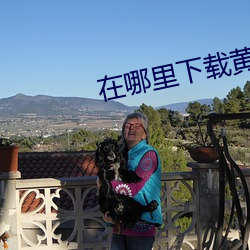 在哪里下载黄片? （同恶相助）