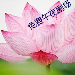 免费午夜剧场