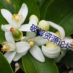 破解资源论坛