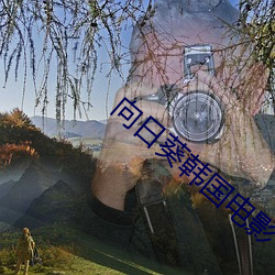 向日葵韓國電影
