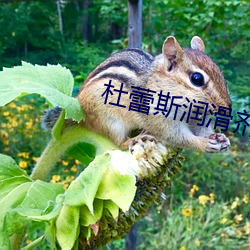 AG真人平台(中国)官方网站