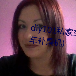 diy101私(sī)家车2.7.0(DIY101私家车补票机)