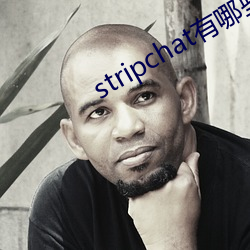 stripchat有哪些主播